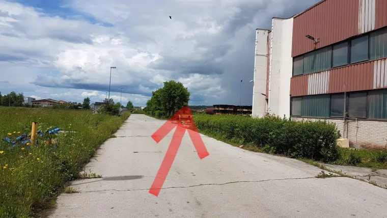 Još jedan stravičan slučaj okrutnosti: raspadnuto tijelo psa koji je bio zavezan za ogradu