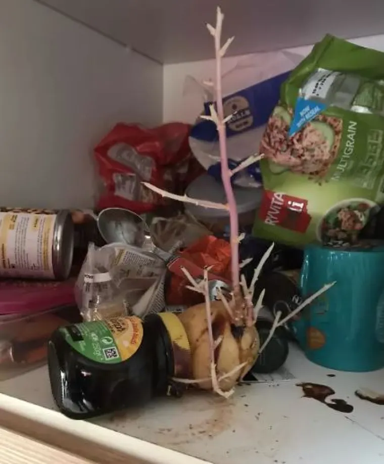 Nije za one slabog želuca: 15 fotografija ljudi koji žive s 'kraljevima neurednosti'