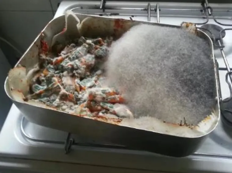 Nije za one slabog želuca: 15 fotografija ljudi koji žive s 'kraljevima neurednosti'