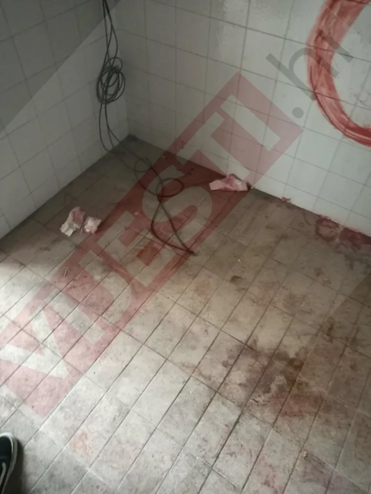 Sotonistički obredi u Zadru