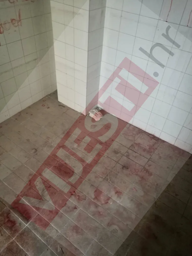 Sotonistički obredi u Zadru