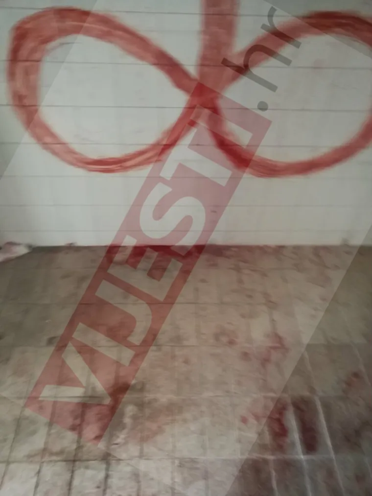 Sotonistički obredi u Zadru