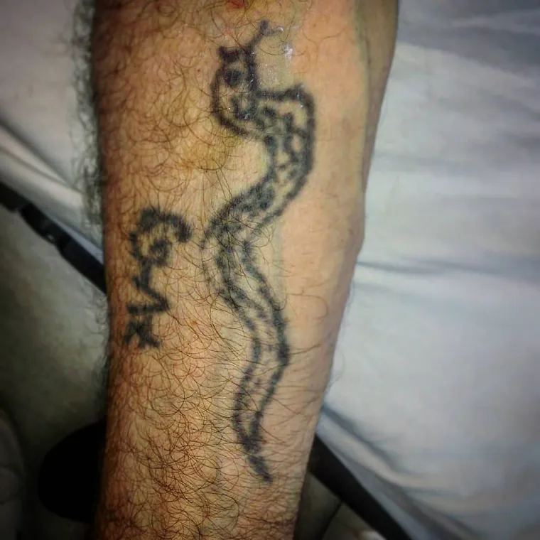 JNA tetovaže, imena djevojaka... Evo kako danas izgledaju plavozelene uspomene iz nekog pro&scaron;log doba