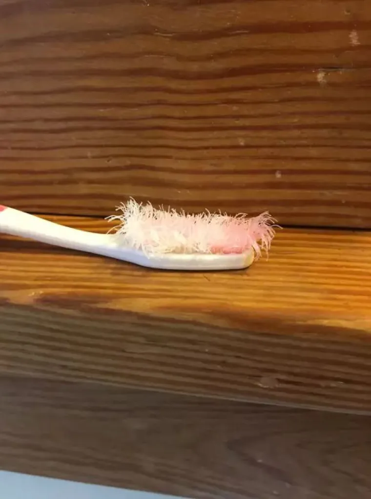 ZA OVAKVE LJUDE TREBA IZMISLITI NOVI ZAKON: Jadni ukućani na teži su način shvatili da žive sa 'čudovi&scaron;tima'