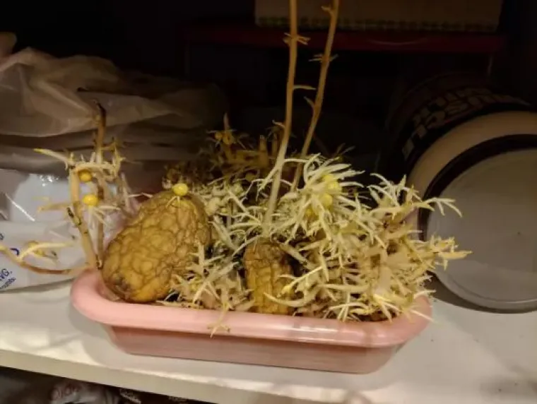 ZA OVAKVE LJUDE TREBA IZMISLITI NOVI ZAKON: Jadni ukućani na teži su način shvatili da žive sa 'čudovi&scaron;tima'