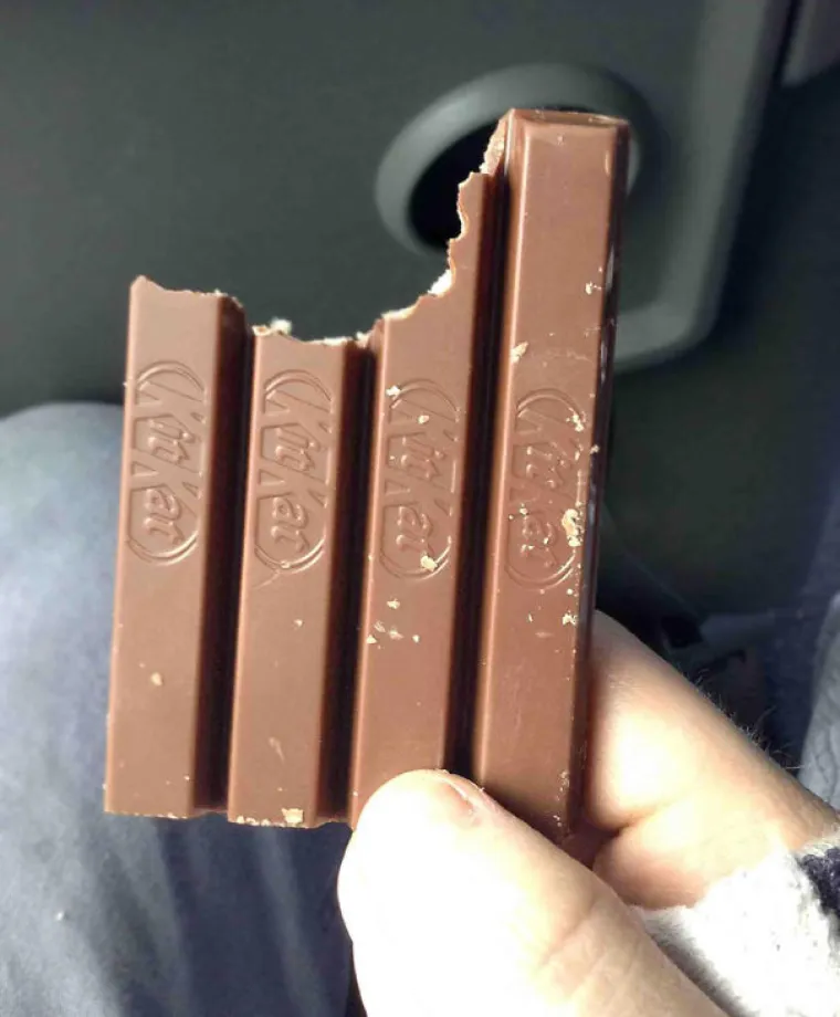 ZA OVAKVE LJUDE TREBA IZMISLITI NOVI ZAKON: Jadni ukućani na teži su način shvatili da žive sa 'čudovi&scaron;tima'