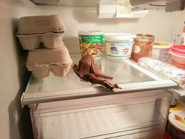 ZA OVAKVE LJUDE TREBA IZMISLITI NOVI ZAKON: Jadni ukućani na teži su način shvatili da žive sa 'čudovi&scaron;tima'