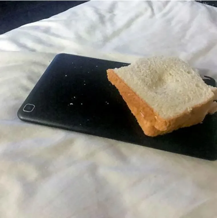 ZA OVAKVE LJUDE TREBA IZMISLITI NOVI ZAKON: Jadni ukućani na teži su način shvatili da žive sa 'čudovi&scaron;tima'