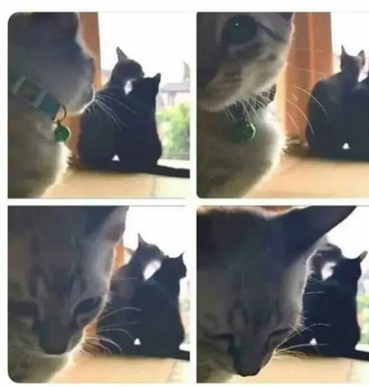 Nije im lako, ali barem nisu izgubili smisao za humor