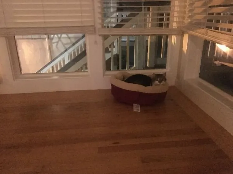 Nije im lako, ali barem nisu izgubili smisao za humor