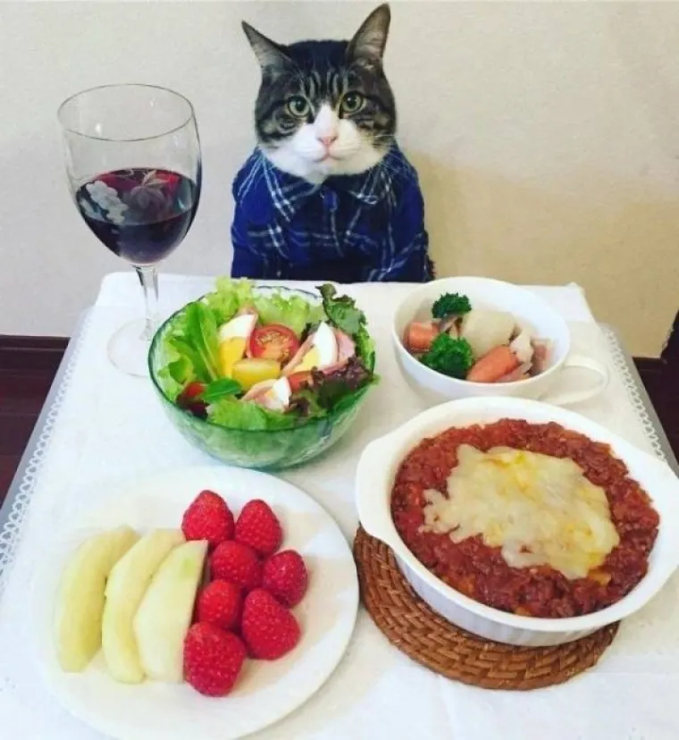 Nije im lako, ali barem nisu izgubili smisao za humor