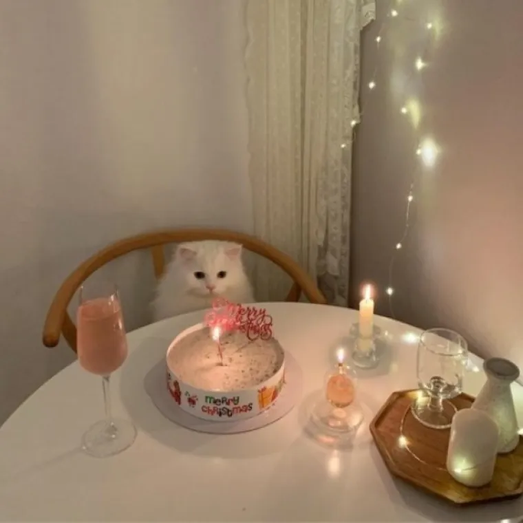 Nije im lako, ali barem nisu izgubili smisao za humor