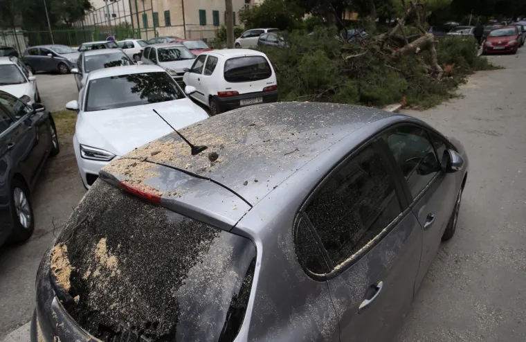 Opet 'kataklizma' u Splitu: Stabla noćas uni&scaron;tila automobile!