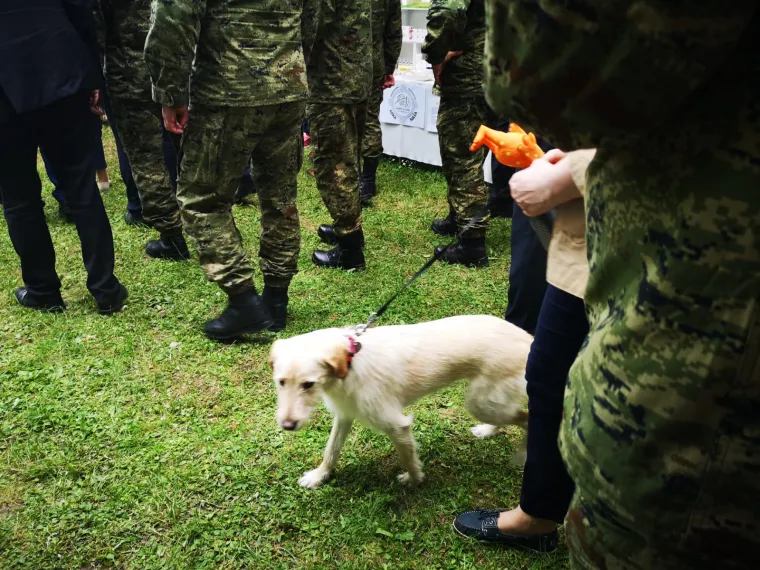 Predsjednica pregledala vojnu opremu na Jarunu: Povela je i Kiku!