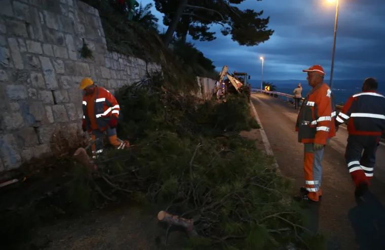 Stablo palo na autobus! Zatvoren dio magistrale kroz Krilo Jasenice: 'Srećom nitko nije ozlijeđen'