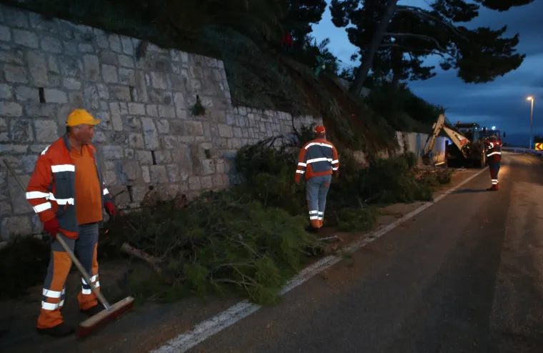Stablo palo na autobus! Zatvoren dio magistrale kroz Krilo Jasenice: 'Srećom nitko nije ozlijeđen'