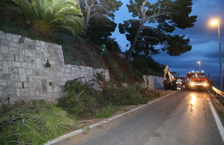 Stablo palo na autobus! Zatvoren dio magistrale kroz Krilo Jasenice: 'Srećom nitko nije ozlijeđen'