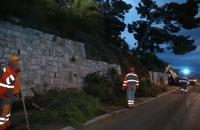 Stablo palo na autobus! Zatvoren dio magistrale kroz Krilo Jasenice: 'Srećom nitko nije ozlijeđen'
