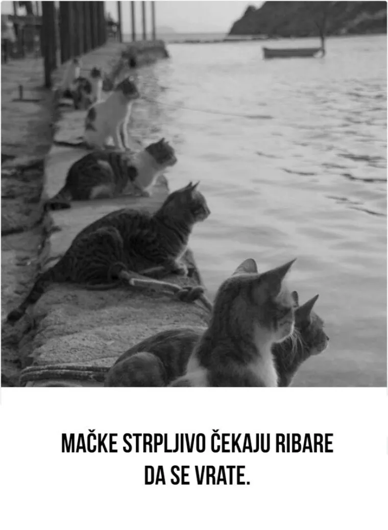 Nije ni&scaron;ta kao &scaron;to je nekad bilo: Fotografije skrivene povijesti o kojoj ne čujemo