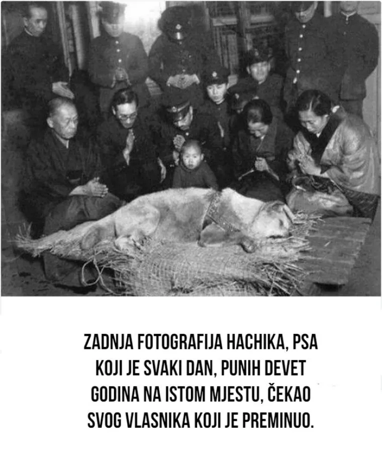 Nije ni&scaron;ta kao &scaron;to je nekad bilo: Fotografije skrivene povijesti o kojoj ne čujemo