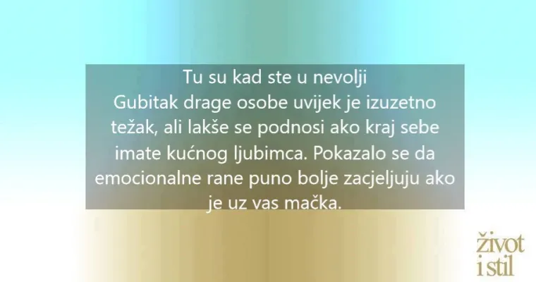 10 znanstvenih dokaza za&scaron;to su ljudi koji imaju mačke na dobitku