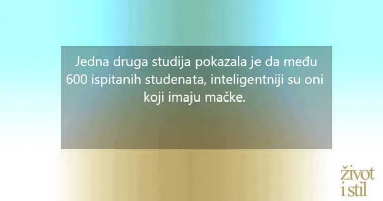 10 znanstvenih dokaza za&scaron;to su ljudi koji imaju mačke na dobitku