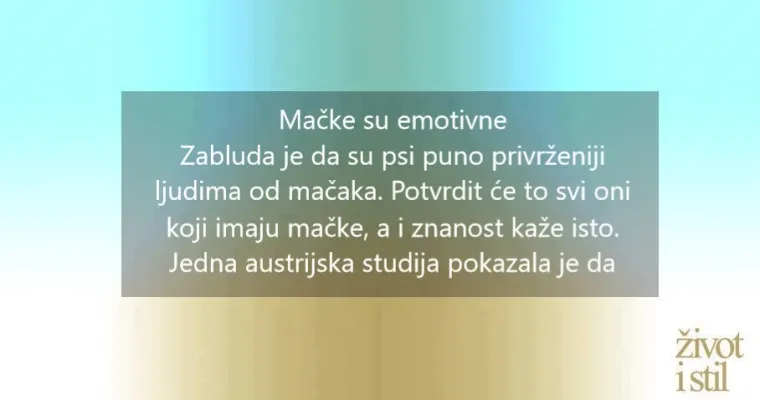 10 znanstvenih dokaza za&scaron;to su ljudi koji imaju mačke na dobitku