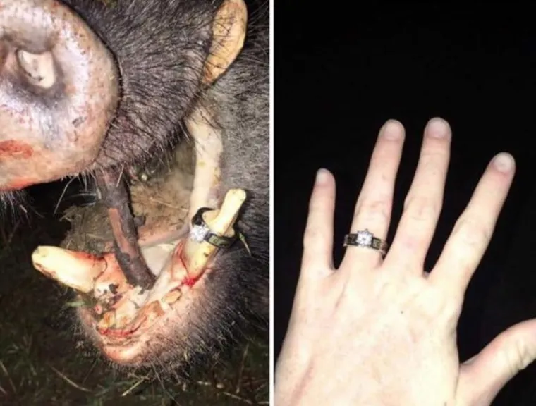 Prsten u pizzi, svinji ili hamburgeru? 14 najgorih prosidba interneta