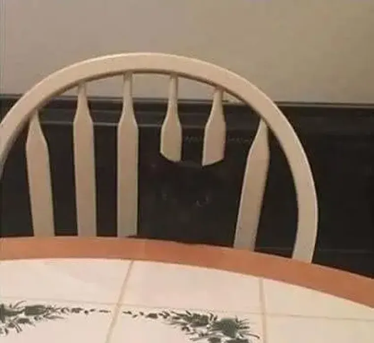 20 iluzija koje će vas natjerati da svaku od ovih fotografija pogledate dva puta