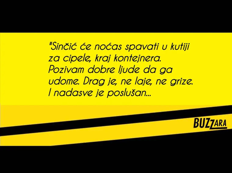 'Mrtvi zid si je zabio autogol', 'Palfi je njihova Yoko Ono': 25 najupečatljivijih komentara razočaranih birača 'Živog stida'