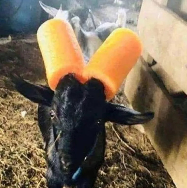 Oni su si olak&scaron;ali život: Koliko ste snalažljivi od 1 do ovih 15 osoba?