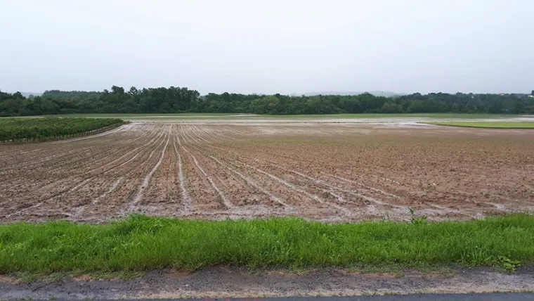 Olujno nevrijeme zahvatilo Pože&scaron;tinu: U kuću u Pleternici udario grom, velike &scaron;tete i na usjevima