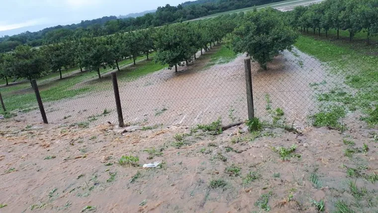 Olujno nevrijeme zahvatilo Pože&scaron;tinu: U kuću u Pleternici udario grom, velike &scaron;tete i na usjevima