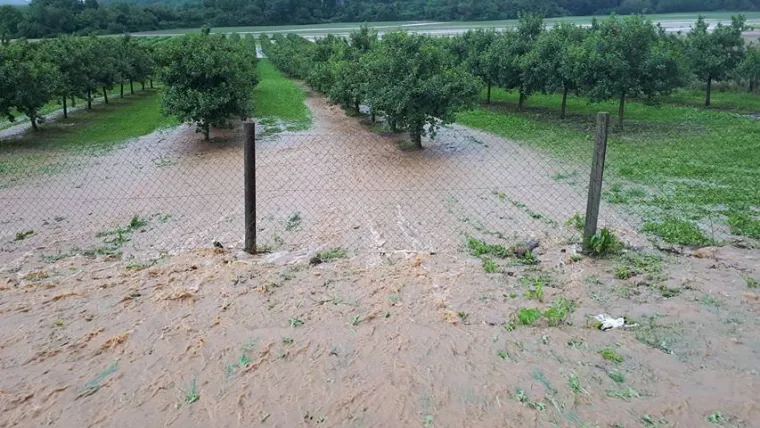 Olujno nevrijeme zahvatilo Pože&scaron;tinu: U kuću u Pleternici udario grom, velike &scaron;tete i na usjevima