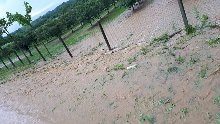 Olujno nevrijeme zahvatilo Pože&scaron;tinu: U kuću u Pleternici udario grom, velike &scaron;tete i na usjevima