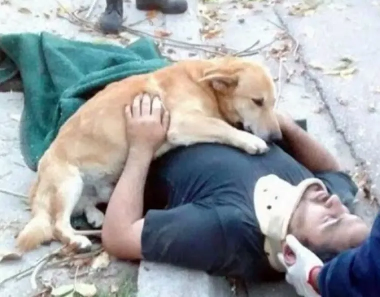 15 fotografija koje dokazuju da nas psi vole vi&scaron;e od sebe samih  i da će uvijek biti uz nas