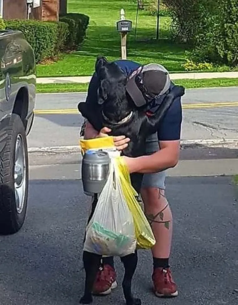 15 fotografija koje dokazuju da nas psi vole vi&scaron;e od sebe samih  i da će uvijek biti uz nas