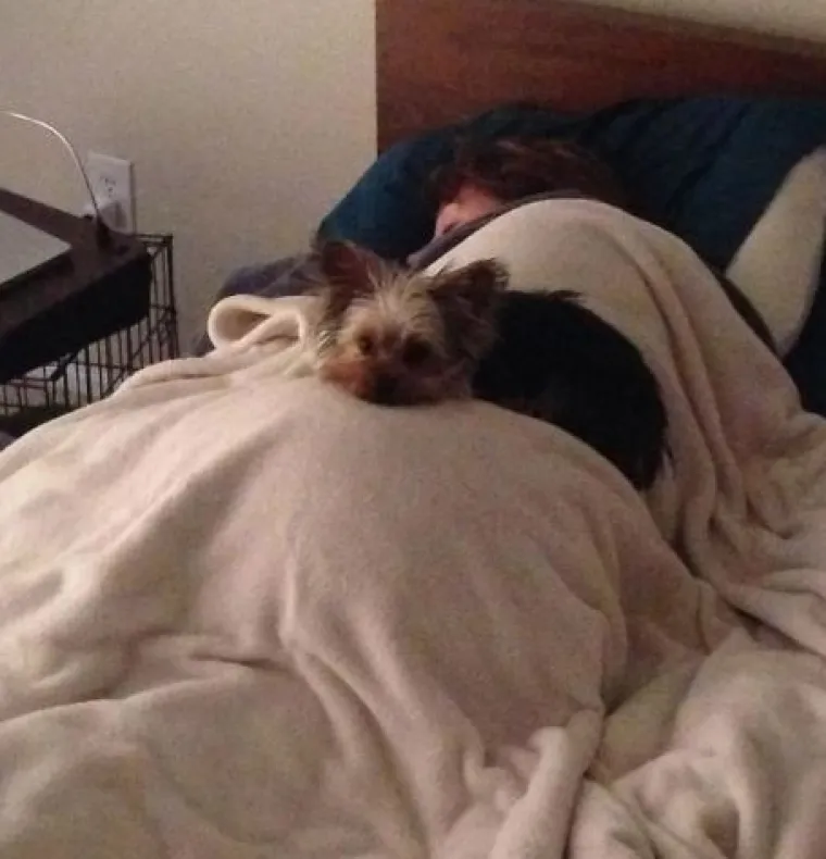 15 fotografija koje dokazuju da nas psi vole vi&scaron;e od sebe samih  i da će uvijek biti uz nas