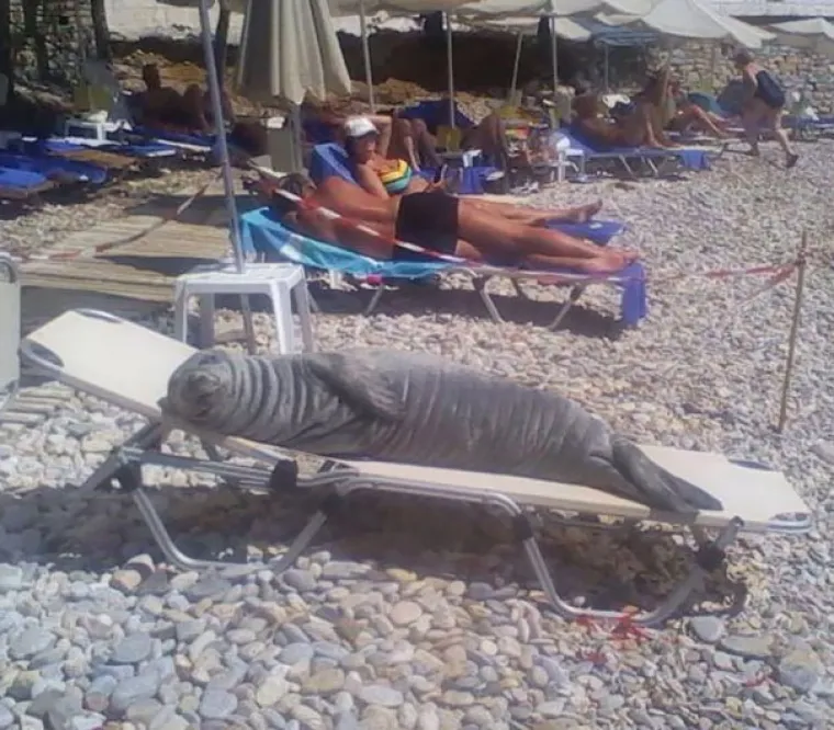 Lito ide mala: 20 najčudnijih stvari koje su ljudi vidjeli na plažama