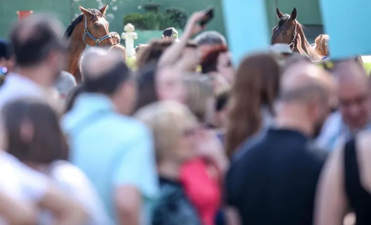 Gnjevni prosvjednici na hipodromu poručili Bandiću: 'Ja&scaron;e&scaron; po Zagrebu 19 godina, sja&scaron;i vi&scaron;e!'