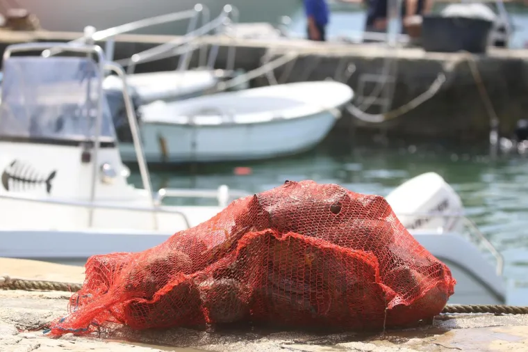 U sklopu akcije "Či&scaron;čenje bez granica" slovenski i hrvatski ronioci čiste zagađene plaže, podmorje i luke Savudrijske vale