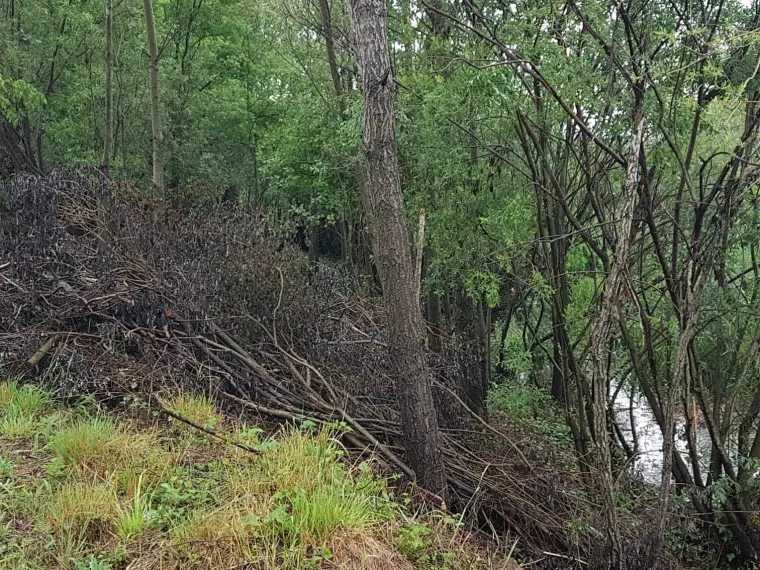 Ekološka katastrofa u Kninu se nastavlja: 'Ovo je odvratno i strašno. Previše je zagađeno'