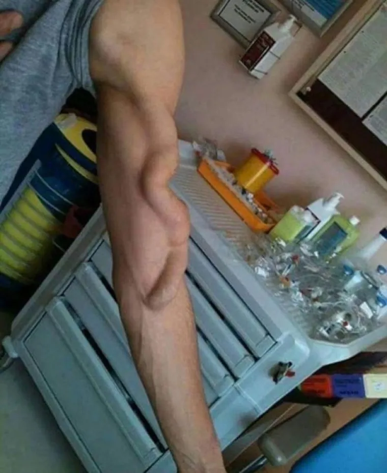 OVE FOTOGRAFIJE PRAVI SU DOKAZ DA ŽIVIMO U STVARNO BIZARNOM SVIJETU: Ako se pitate 'zašto', odgovor ne postoji