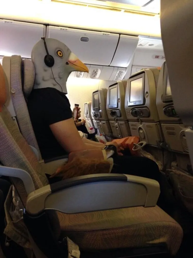 OVE FOTOGRAFIJE PRAVI SU DOKAZ DA ŽIVIMO U STVARNO BIZARNOM SVIJETU: Ako se pitate 'za&scaron;to', odgovor ne postoji