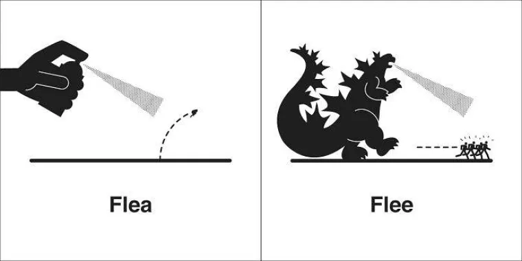 Buzzara daje instrukcije onima koji su previ&scaron;e markirali: Ako ti je engleski kao materinji, pristupi testu bez puno straha!