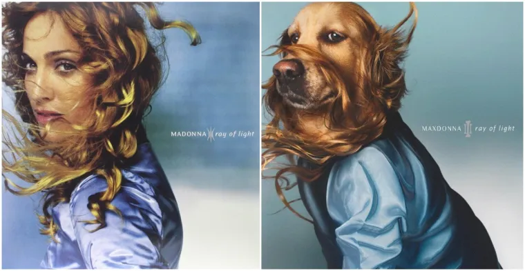 Prima donna: Ovaj pas je savršeno iskopirao sve Madonnine ikonske fotografije