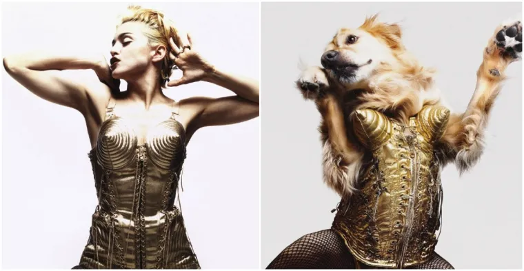 Prima donna: Ovaj pas je savršeno iskopirao sve Madonnine ikonske fotografije