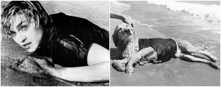 Prima donna: Ovaj pas je savršeno iskopirao sve Madonnine ikonske fotografije