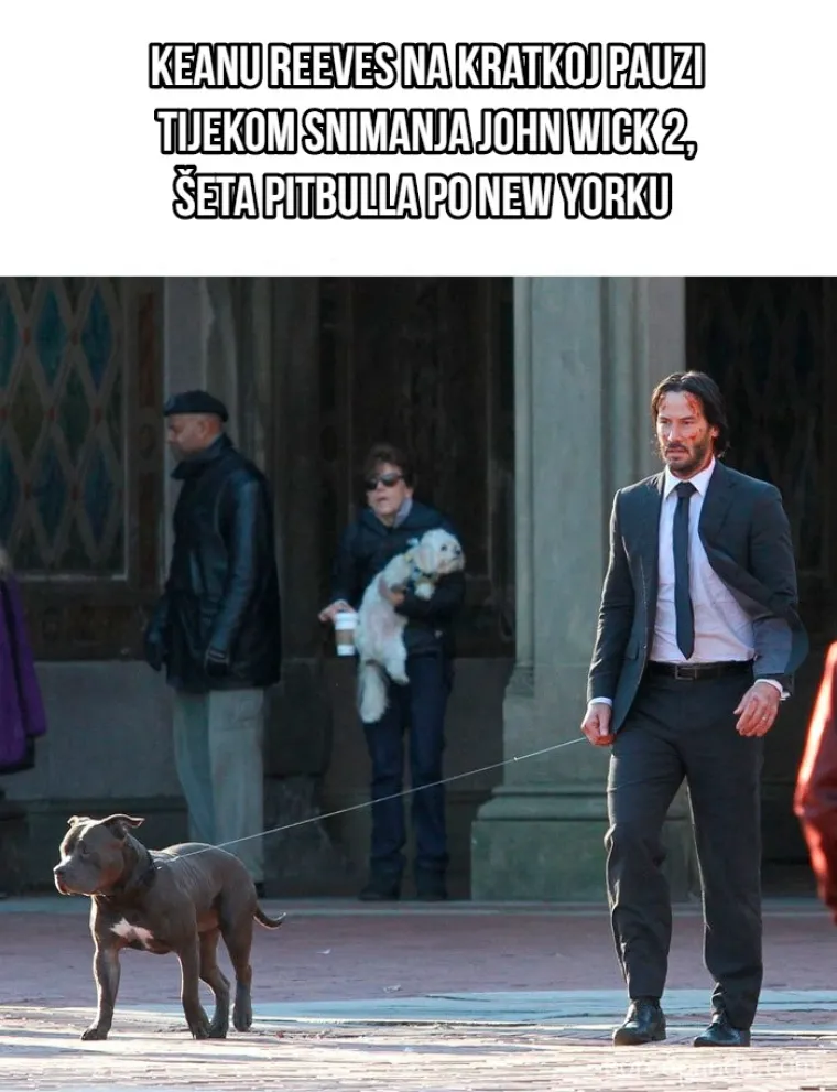 Zovu ga 'dečkom interneta': Najbolje meme o eksplozivnoj popularnosti Keanu Reevesa