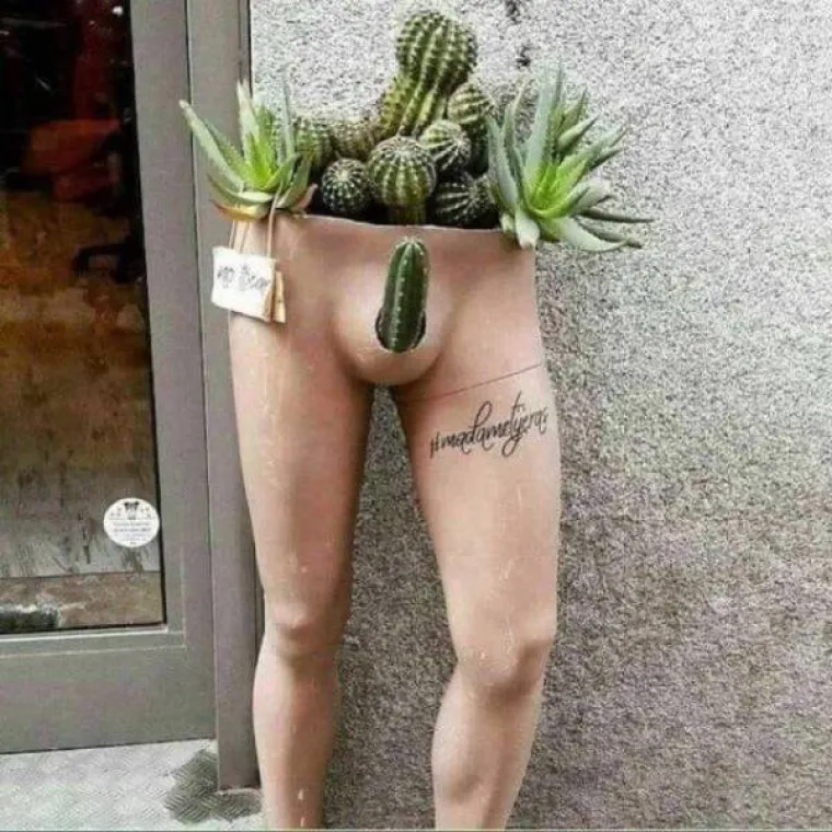 PROVJERITE KOLIKO SU VAM NEČISTE MISLI: Što vam prvo padne na pamet kada vidite prizore iz galerije?